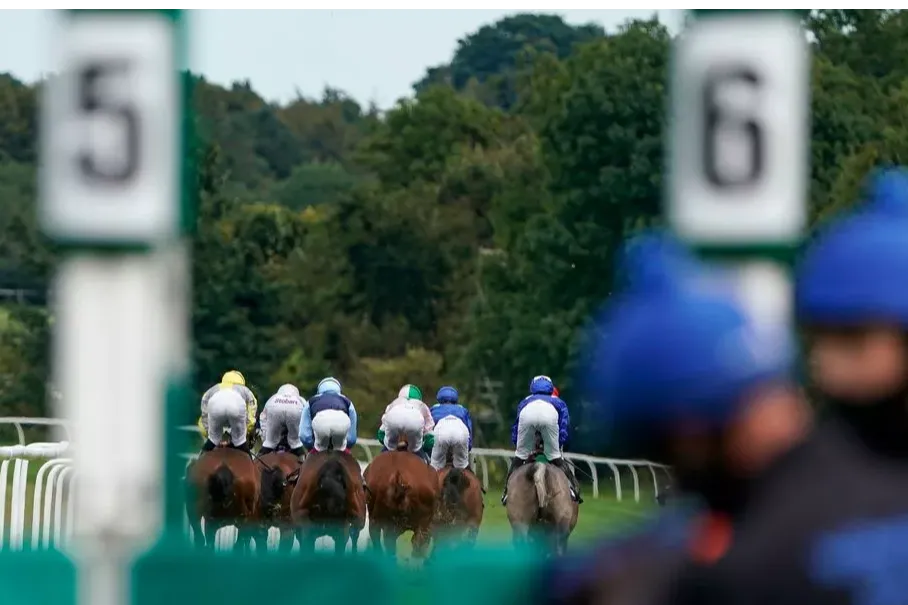 Referrals and Appeals